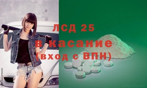 сатива Армянск