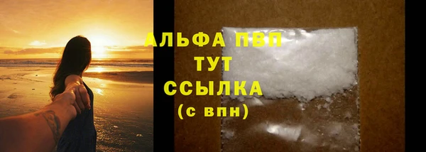 сатива Армянск