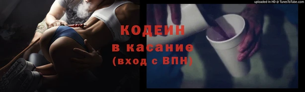 сатива Армянск