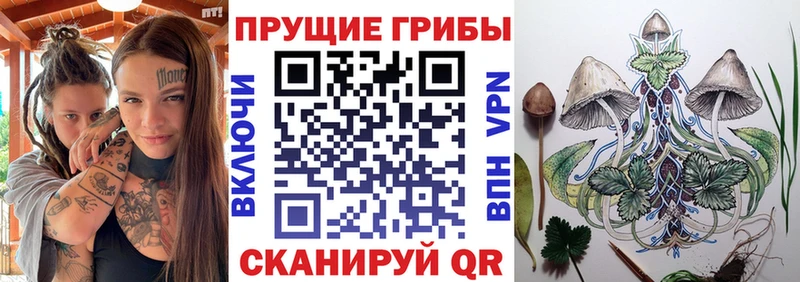 Галлюциногенные грибы Psilocybine cubensis Новая Ляля